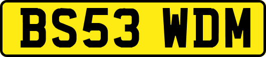 BS53WDM