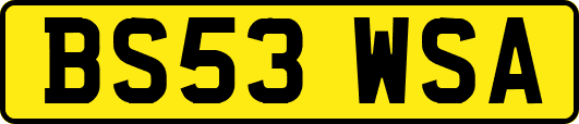 BS53WSA
