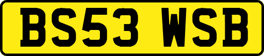 BS53WSB