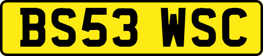 BS53WSC