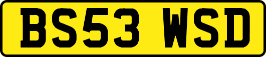 BS53WSD
