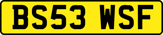 BS53WSF