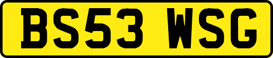 BS53WSG