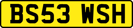 BS53WSH
