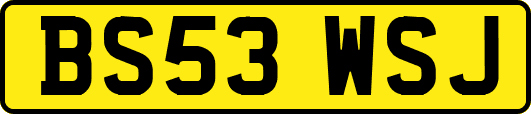 BS53WSJ