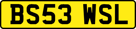 BS53WSL