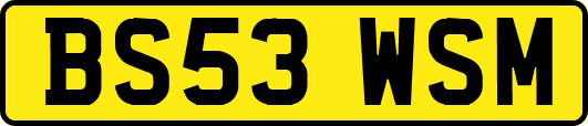 BS53WSM