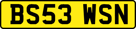 BS53WSN