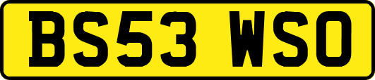 BS53WSO