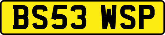 BS53WSP