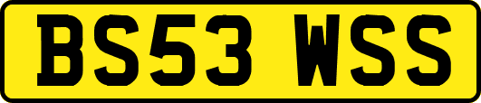 BS53WSS