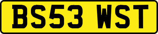 BS53WST