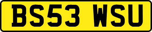 BS53WSU