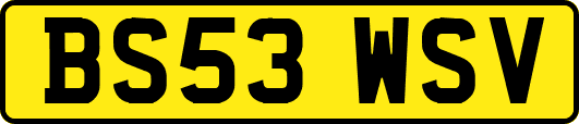BS53WSV