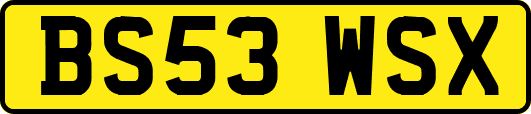 BS53WSX