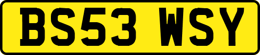 BS53WSY