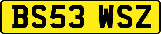 BS53WSZ