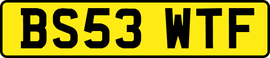 BS53WTF