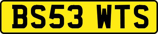BS53WTS