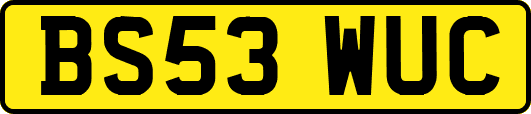 BS53WUC
