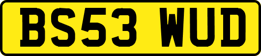 BS53WUD