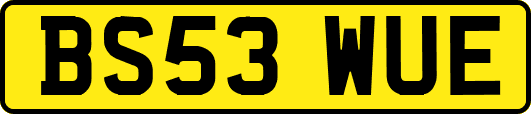BS53WUE