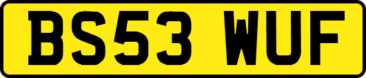 BS53WUF