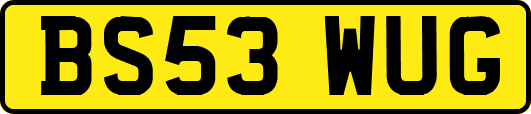 BS53WUG