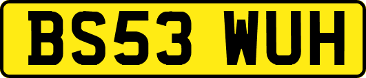 BS53WUH
