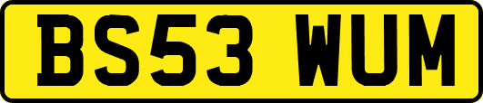 BS53WUM