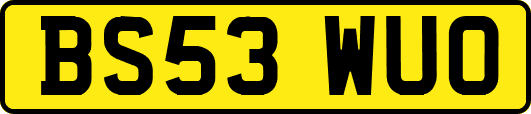 BS53WUO