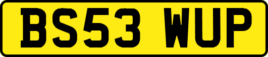 BS53WUP