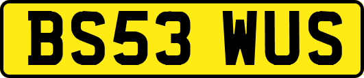 BS53WUS
