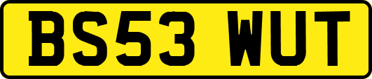 BS53WUT
