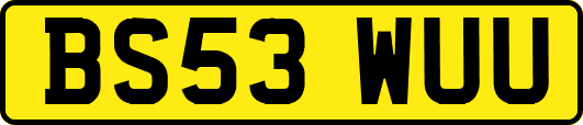BS53WUU