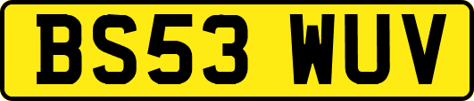 BS53WUV