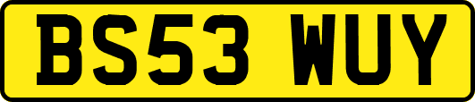 BS53WUY