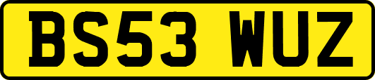 BS53WUZ