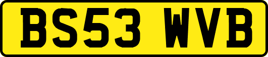 BS53WVB