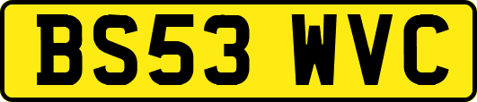 BS53WVC