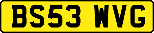 BS53WVG