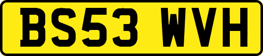 BS53WVH