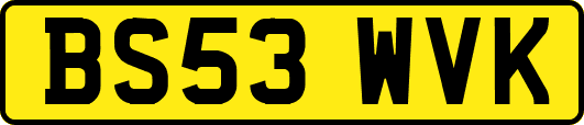 BS53WVK