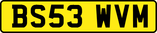 BS53WVM
