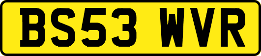 BS53WVR