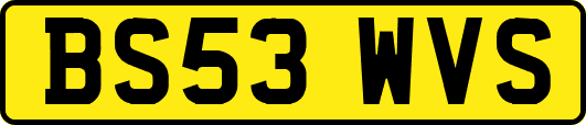 BS53WVS