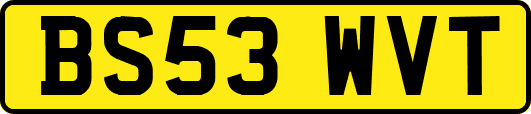BS53WVT