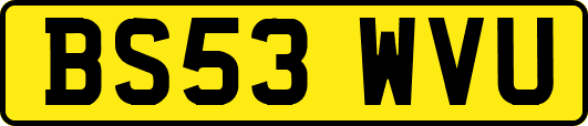BS53WVU