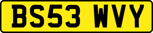 BS53WVY