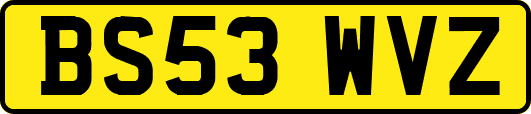BS53WVZ